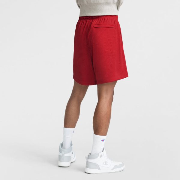 7" YEARBOOK MESH SHORT, ARCH LOGO - Image 2
