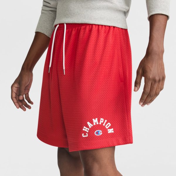 7" YEARBOOK MESH SHORT, ARCH LOGO - Image 3