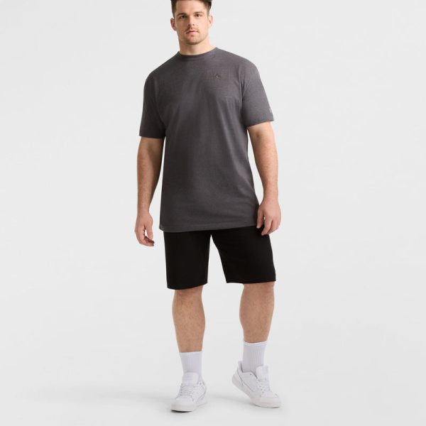 CLASSIC T-SHIRT, C LOGO - BIG & TALL - Image 4
